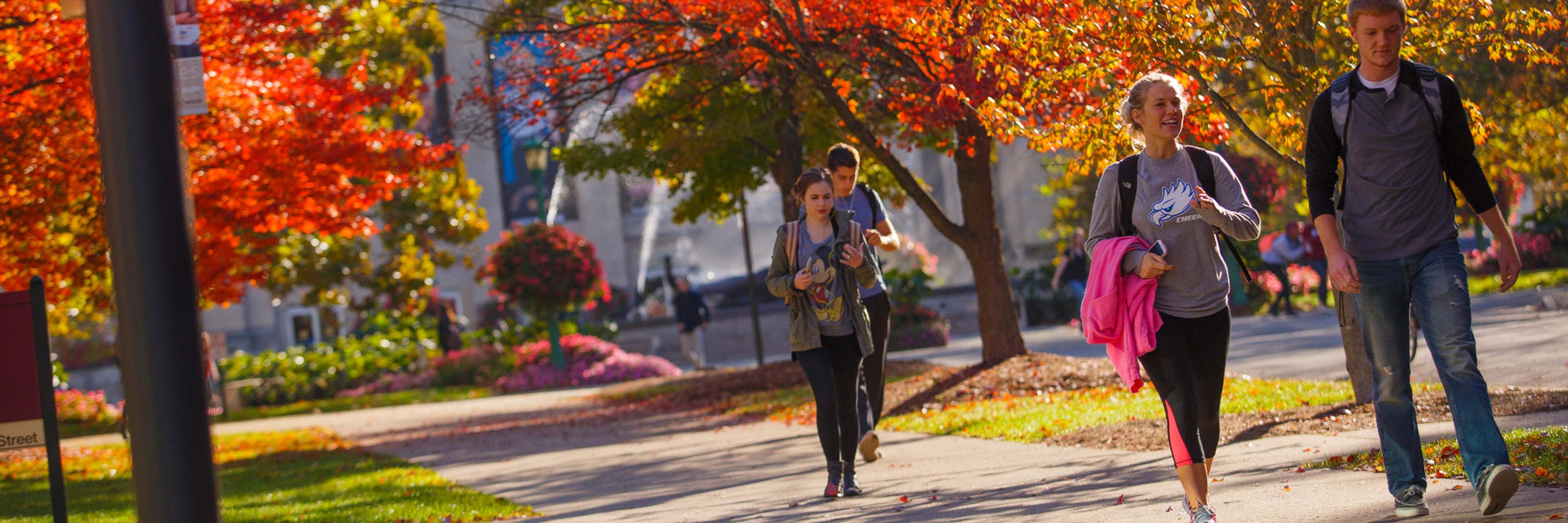 Autumn on campus